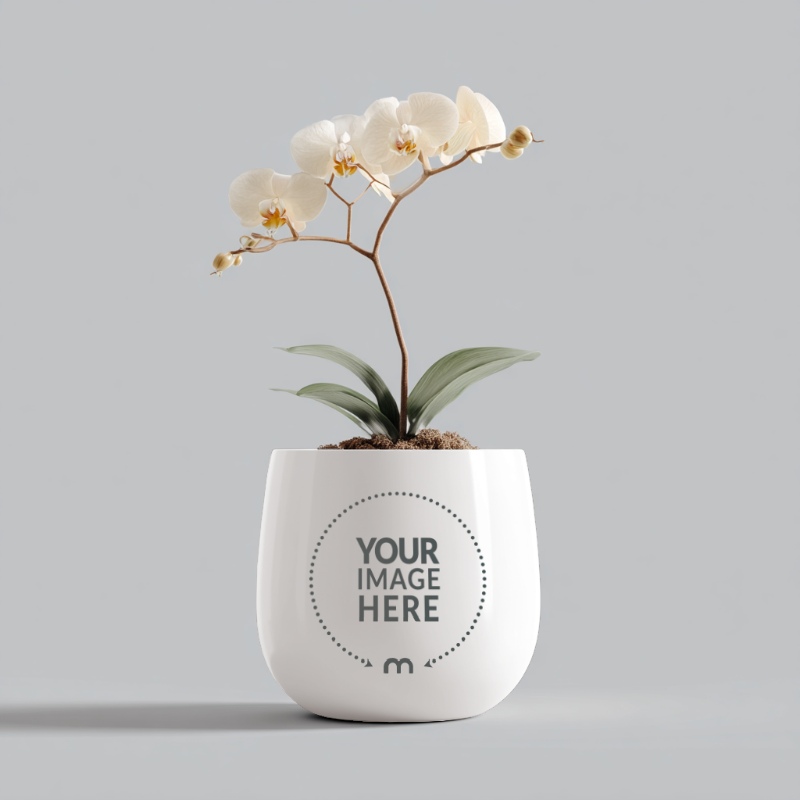 Flowerpot Mockup in Isolated Background for Indoor Decor Branding preview image
