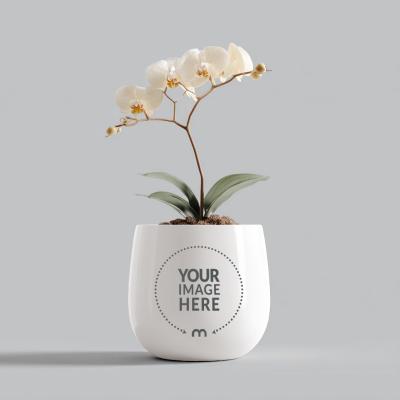 Flowerpot Mockup in Isolated Background for Indoor Decor Branding