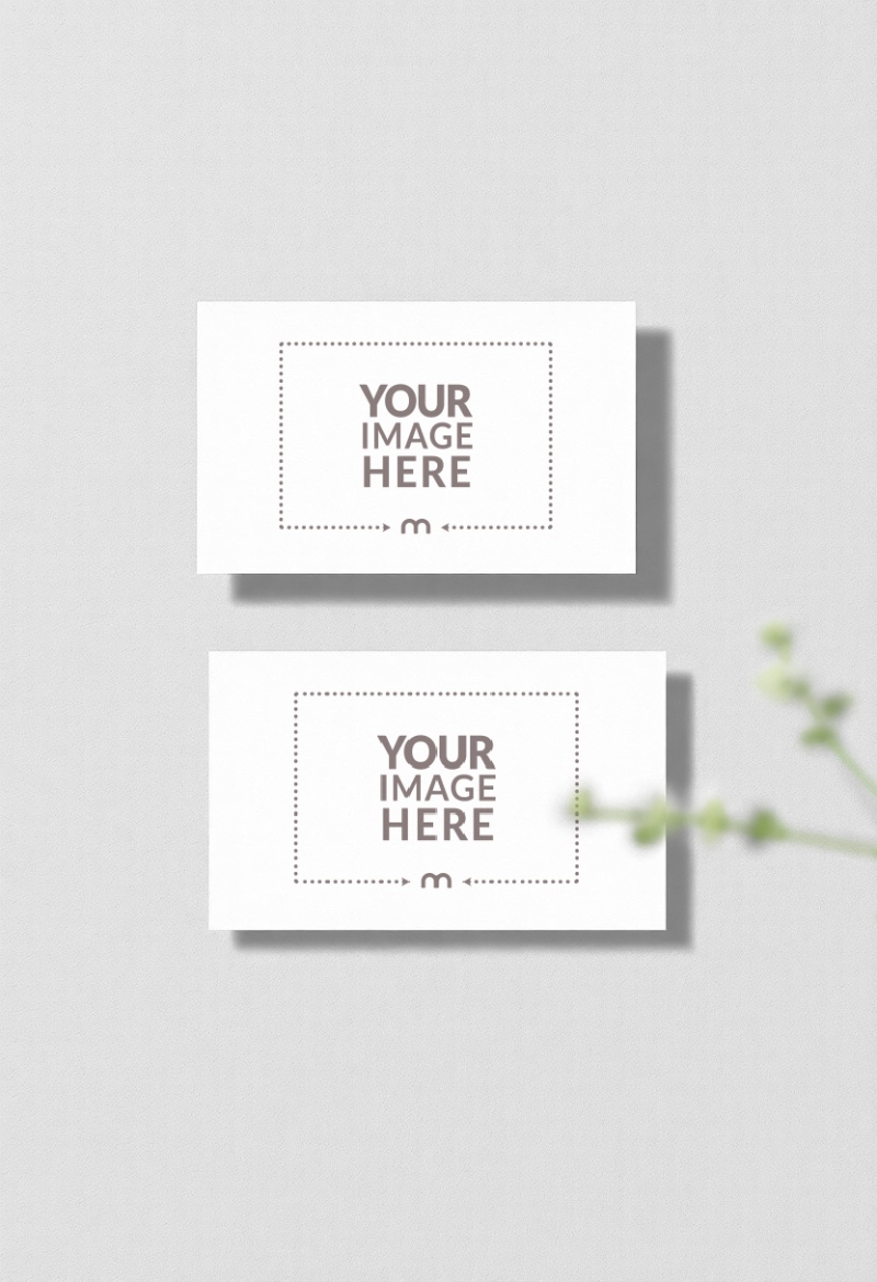 Business Card Mockup Front and Back Top View preview image