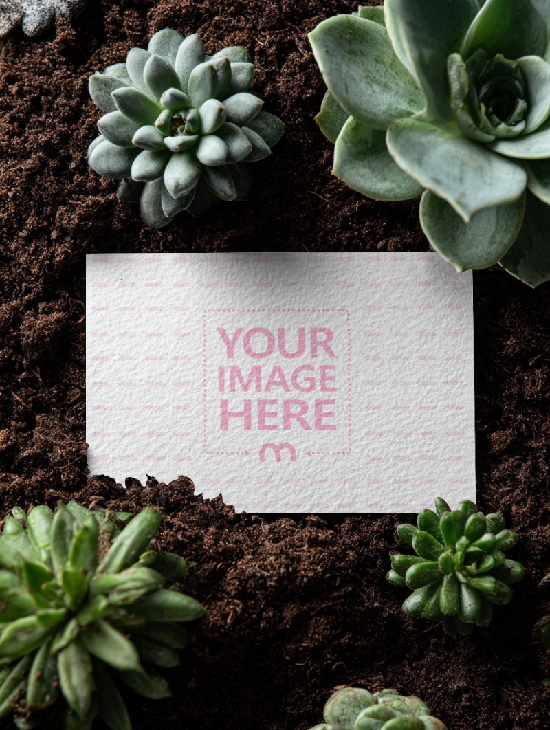 Business Card Mockup on Soil with Plants for Eco-Friendly Companies preview image