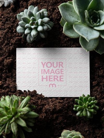 Business Card Mockup on Soil with Plants for Eco-Friendly Companies