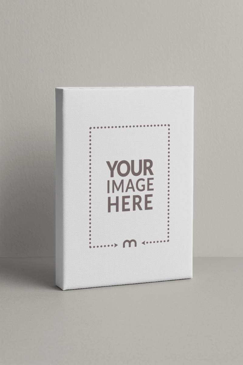 Gift-Wrapped Book Packaging Mockup for Holiday Gifts preview image