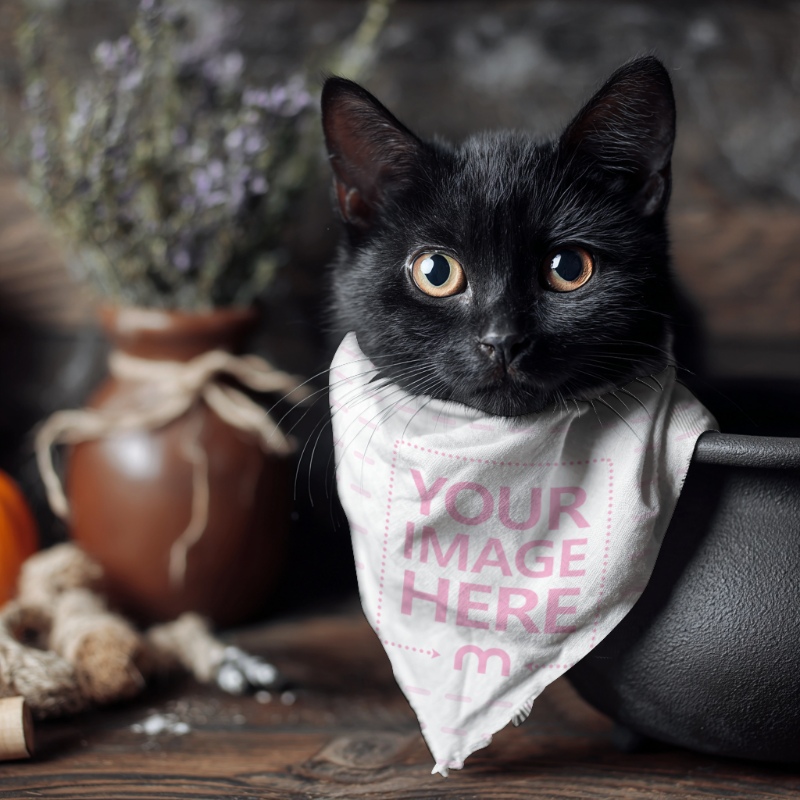 Pet Costume Mockup on Black Cat for Halloween Pet Theme Pet Costume Mockup on Black Cat for Halloween Pet Theme preview image
