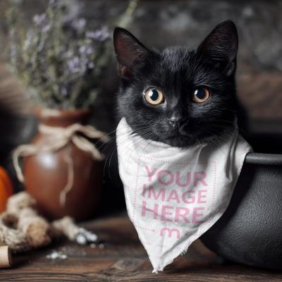 Pet Costume Mockup on Black Cat for Halloween Pet Theme