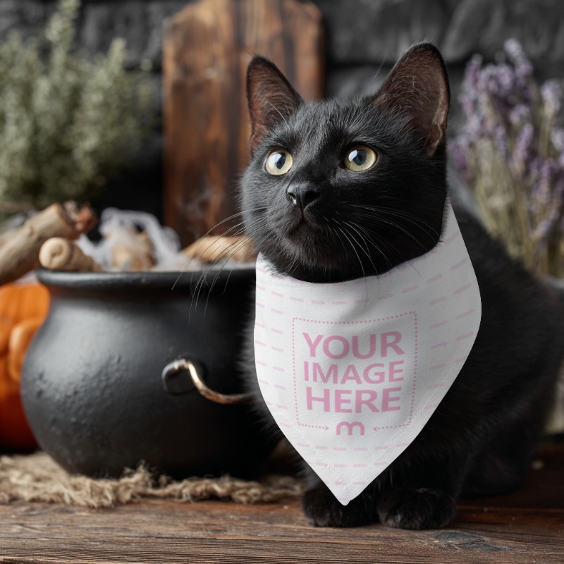 Pet Costume Mockup on Black Cat for Halloween Themed Scene preview image