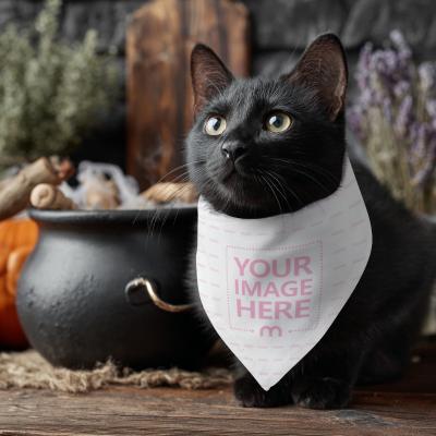 Pet Costume Mockup on Black Cat for Halloween Themed Scene