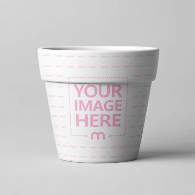 Flower Pot Mockup on White Background in Studio