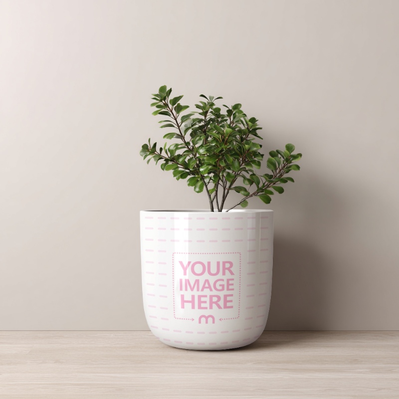 Flower Pot Mockup on Wooden Floor preview image