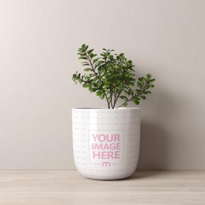 Flower Pot Mockup on Wooden Floor