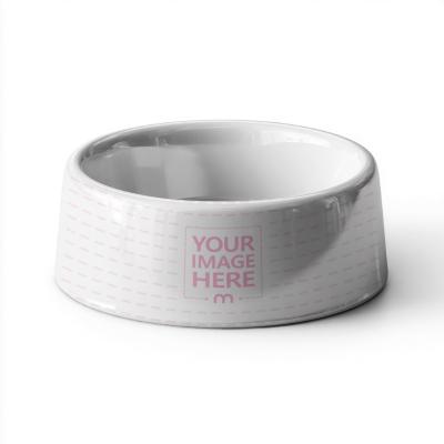Pet Food Bowl Mockup in Studio Setup for Logo Display