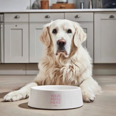 Pet Food Bowl Mockup with Dog Sitting in Indoor Kitchen