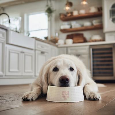 Pet Food Bowl Mockup with Dog in Kitchen Room