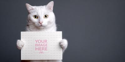 White Cat Peeking Over Sign Board Mockup