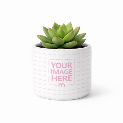 Ceramic Vase Mockup on Neutral Background for Plants