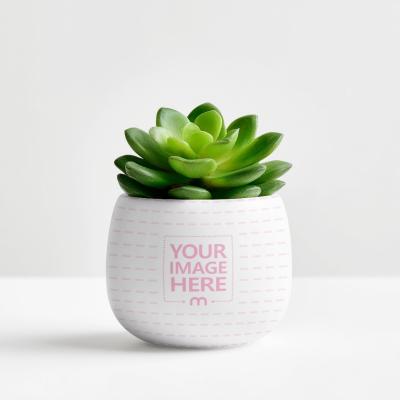 Ceramic Plant Pot Mockup for Home Decor Branding