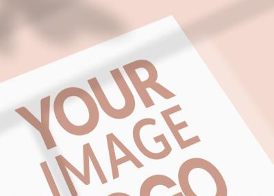 Pastel Background Logo Mockup with Soft Shadow Texture